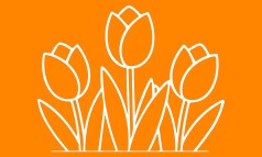 News image: Voorjaarspracht, Moeilijke markt (Blog Paul)